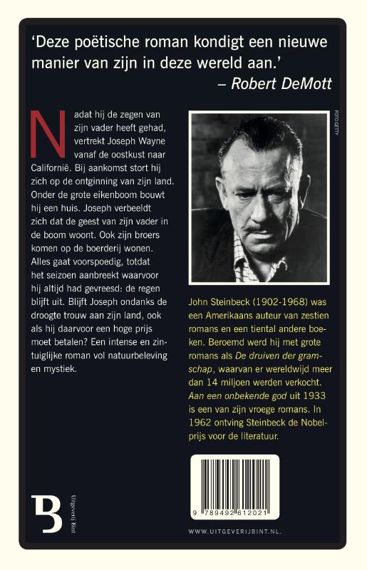 Aan een onbekende god / Bint Klassiek achterkant