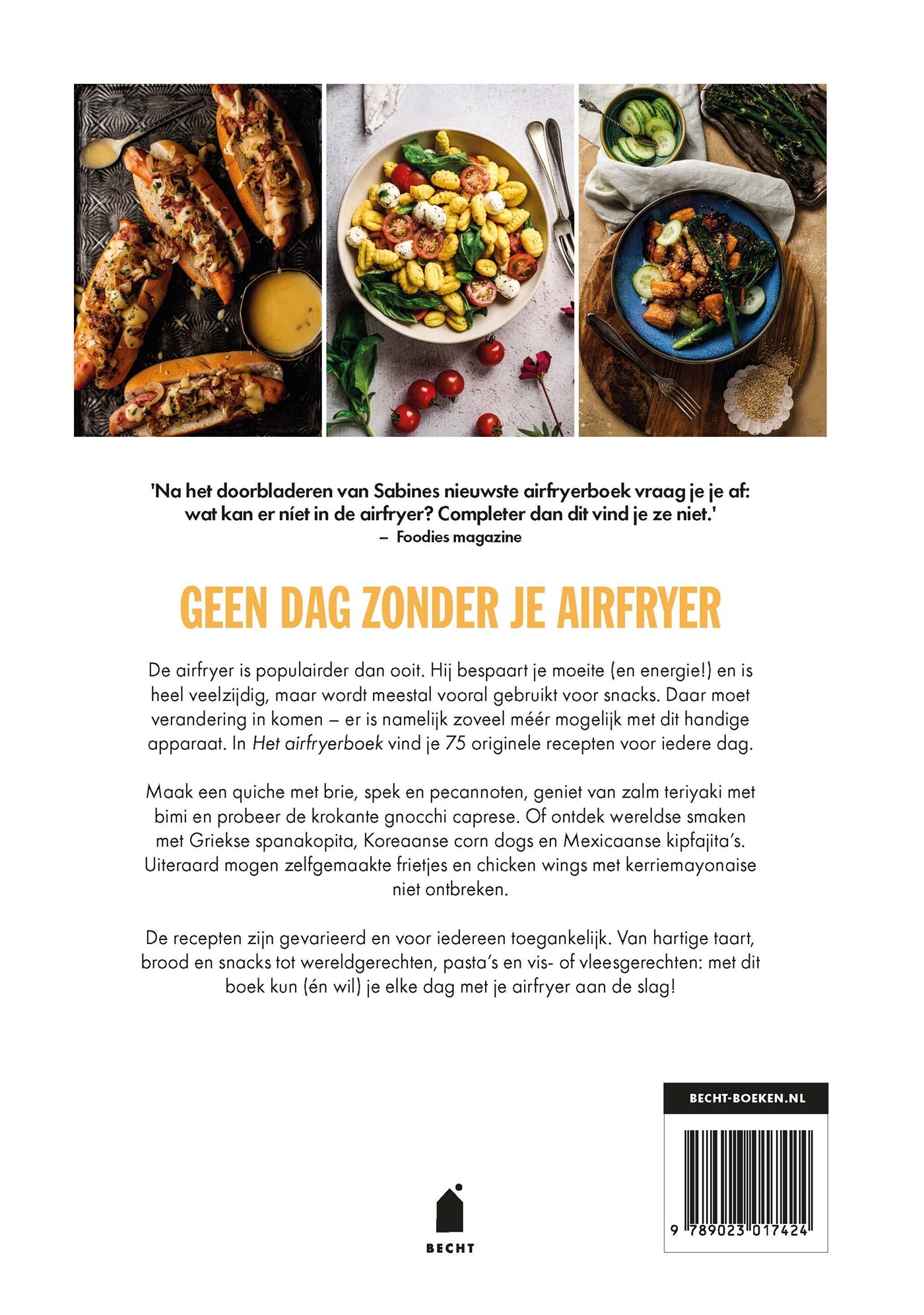 Het airfryerboek achterkant