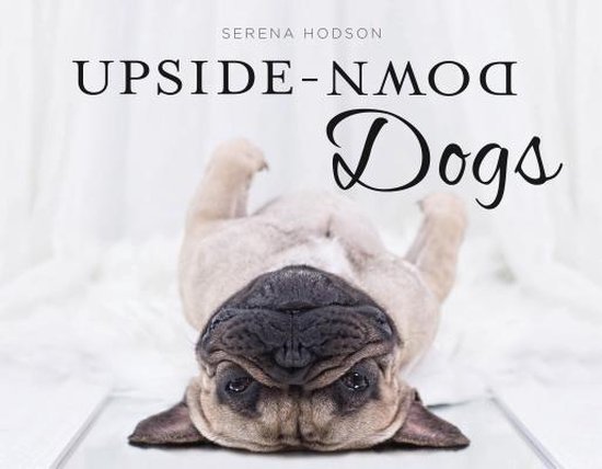 Serena Hodson Upside-Down Dogs thumbnail