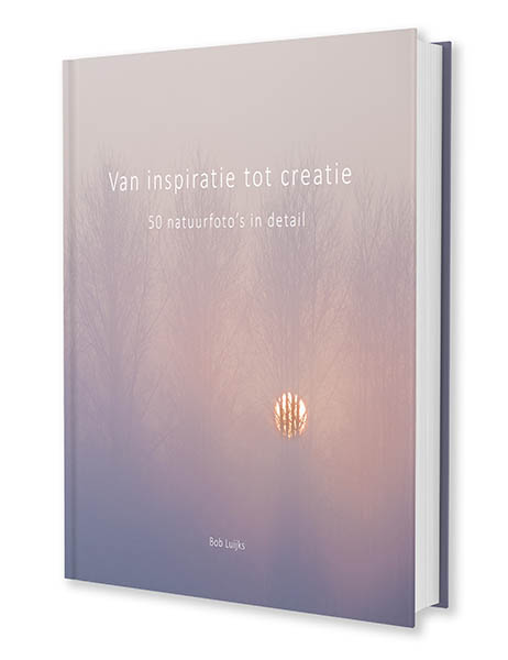 Van inspiratie tot creatie