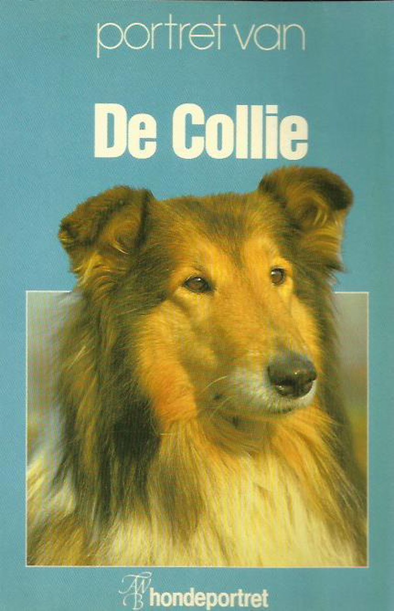 Portret Van De Collie thumbnail