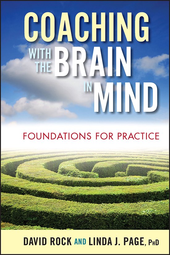 David Rock Coaching With The Brain In Mind