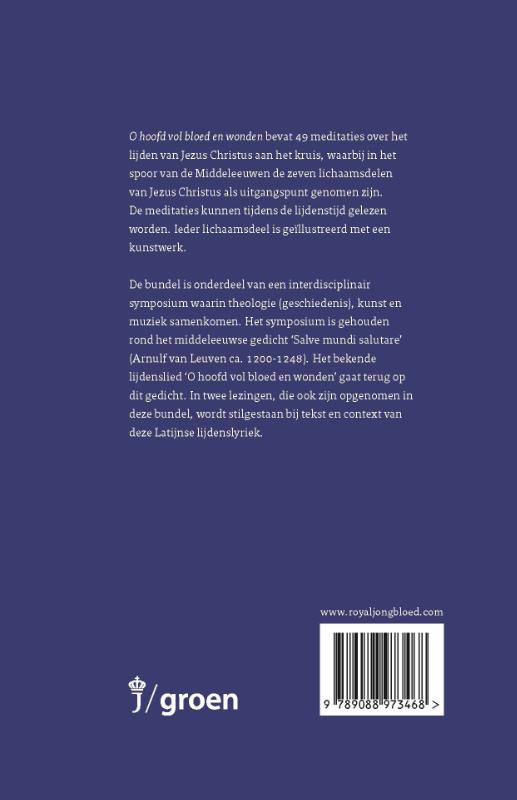 O hoofd vol bloed en wonden achterkant