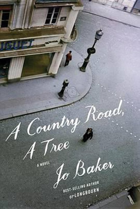 Jo Baker A Country Road, A Tree