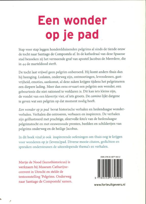 Een wonder op je pad achterkant