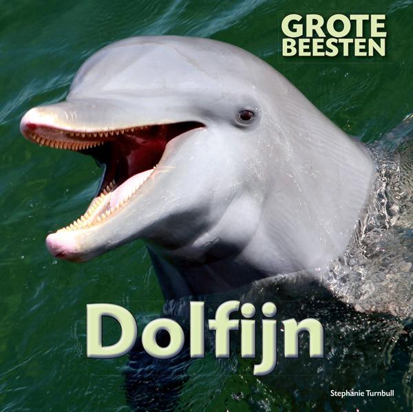 Dolfijn / Grote Beesten