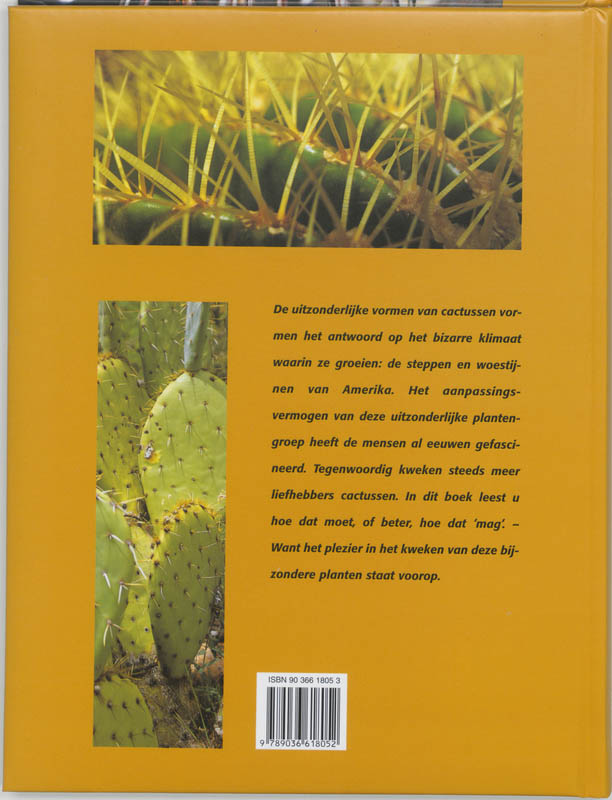 Cactussen achterkant