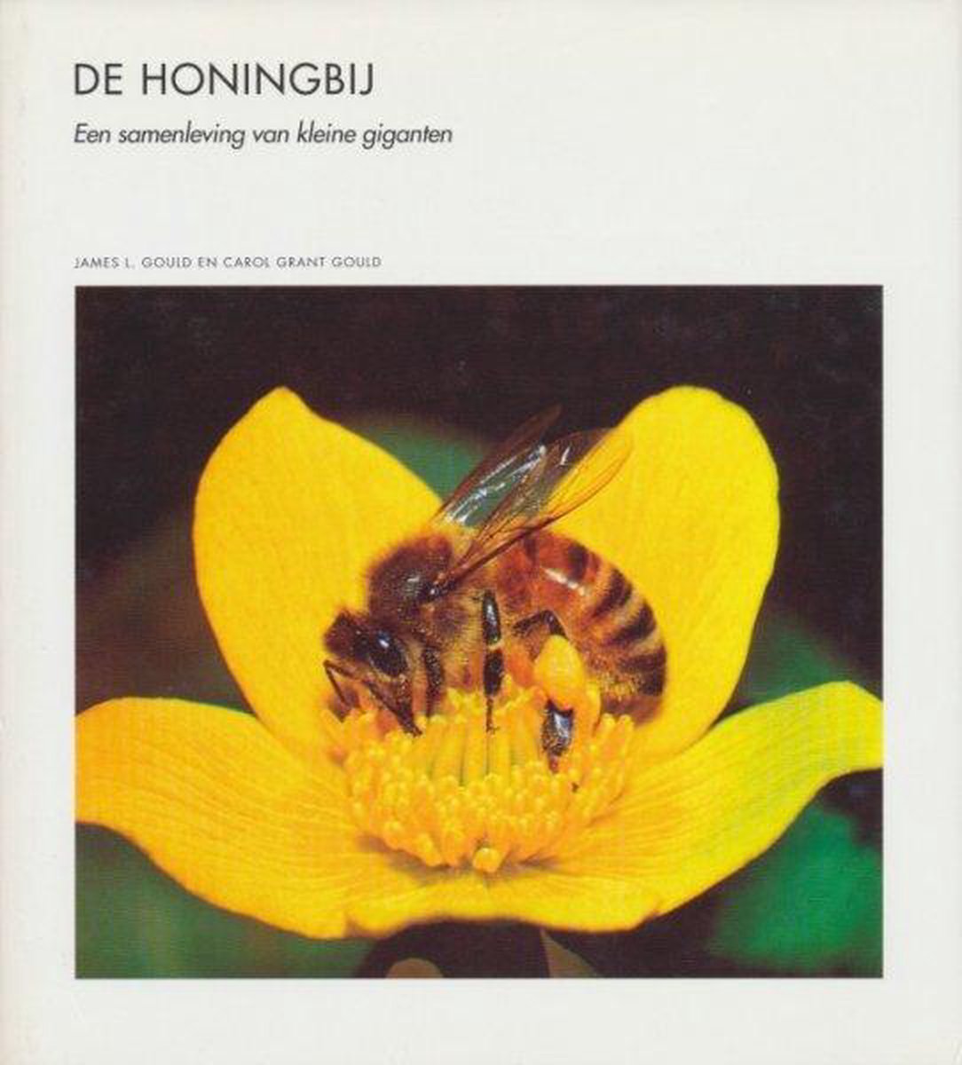 boekenbalie_9789073035133_cover De honingbij / Wetenschappelijke bibliotheek / dl. 28