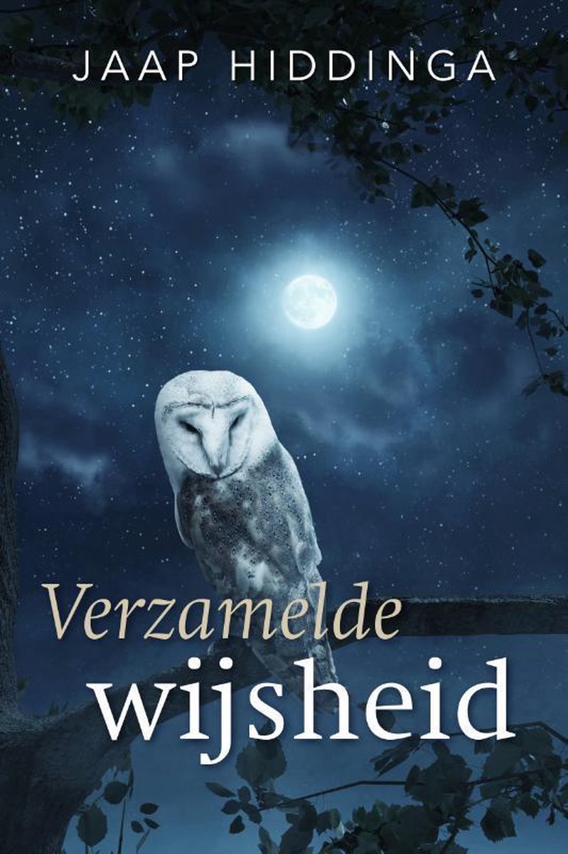 boekenbalie_9789493160286_cover Verzamelde wijsheid