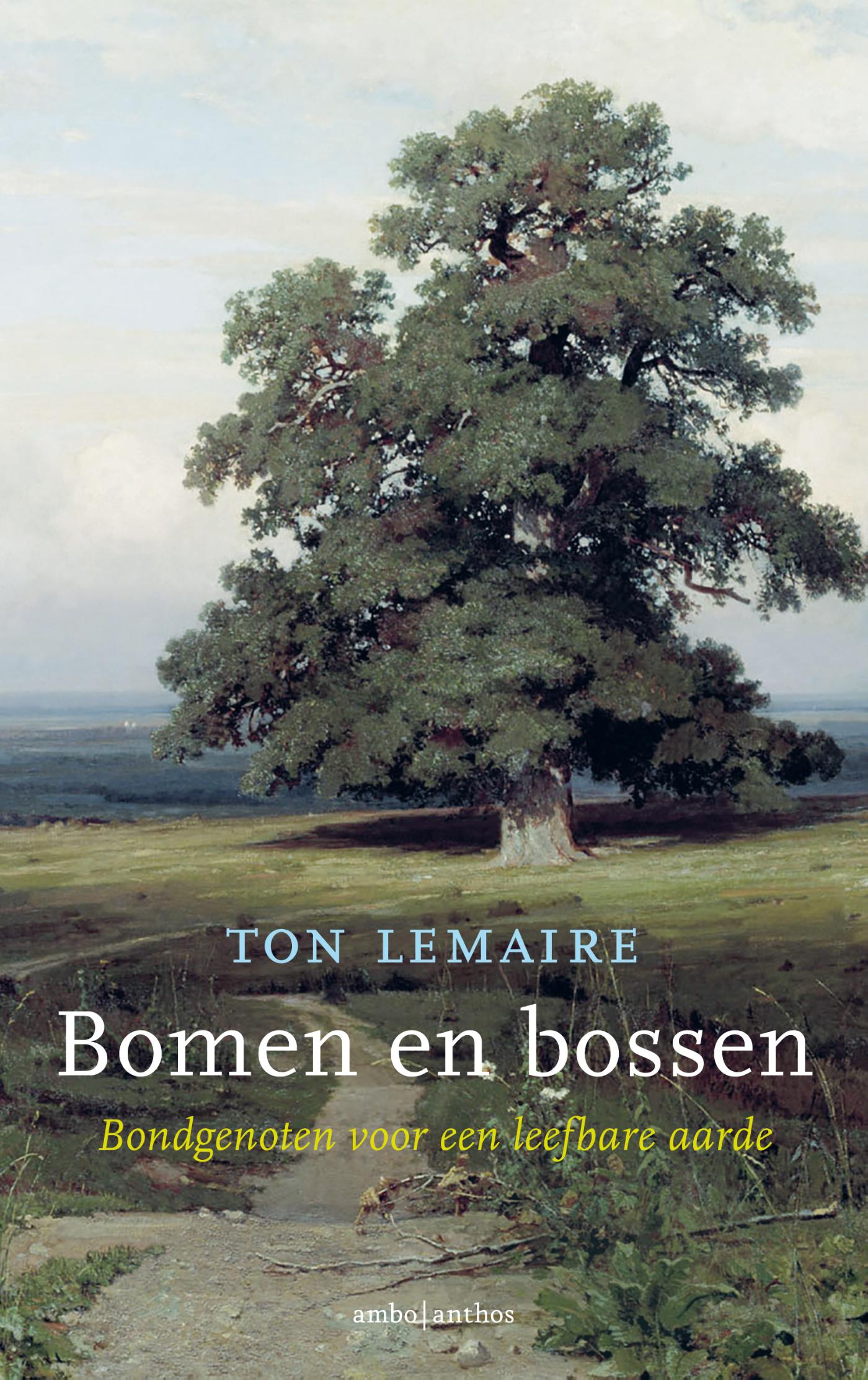 Ton Lemaire Bomen En Bossen