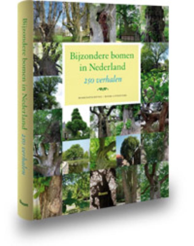 Bijzondere bomen in Nederland