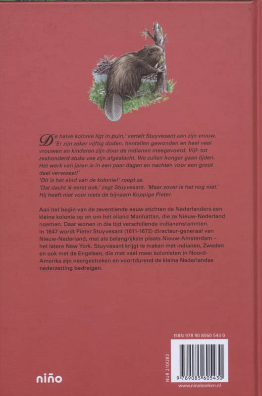 Een ordeloze bende / Historische Helden achterkant