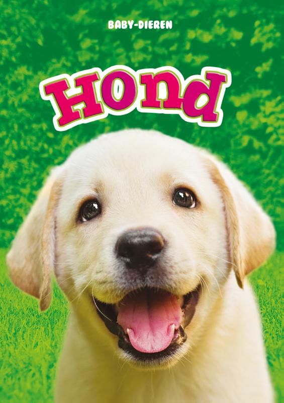 Hond / Baby-dieren