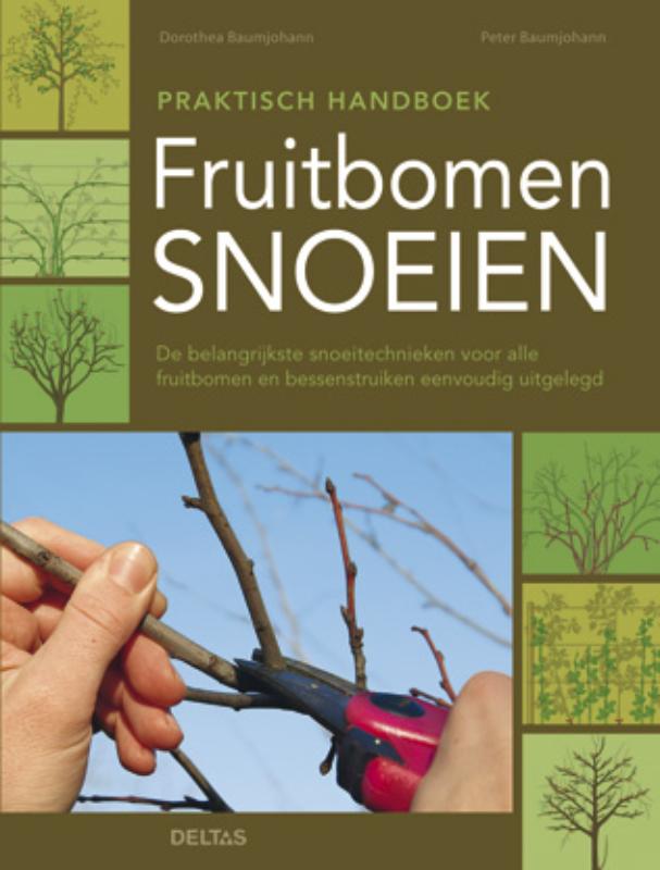 Fruitbomen snoeien