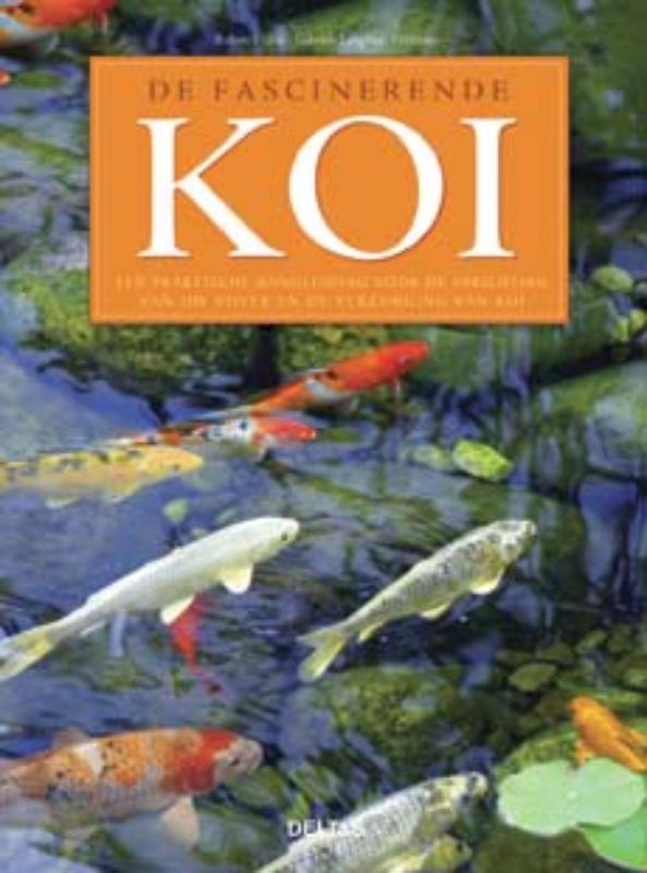 Fascinerende koi