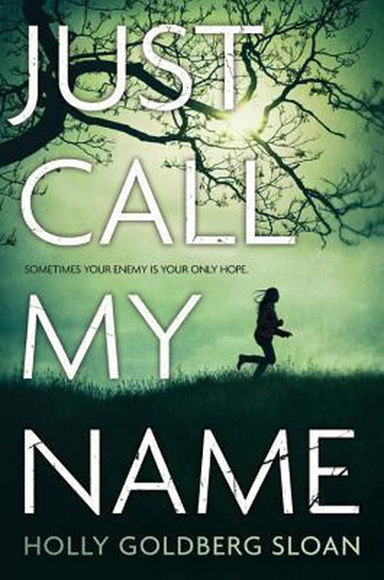boekenbalie_9780316122818_cover Just Call My Name