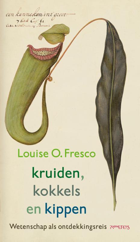 Kruiden, kokkels en kippen / Essay Maand van de Geschiedenis