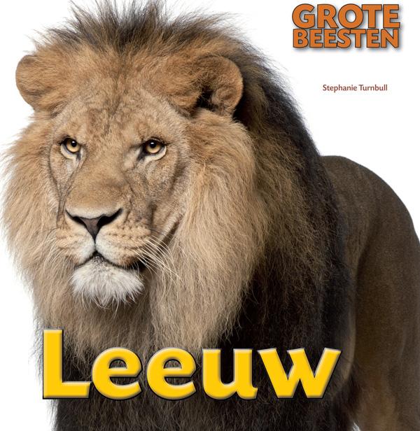 Leeuw / Grote Beesten