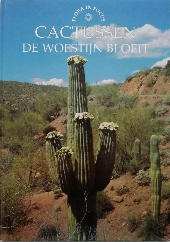 Cactussen / Flora in focus