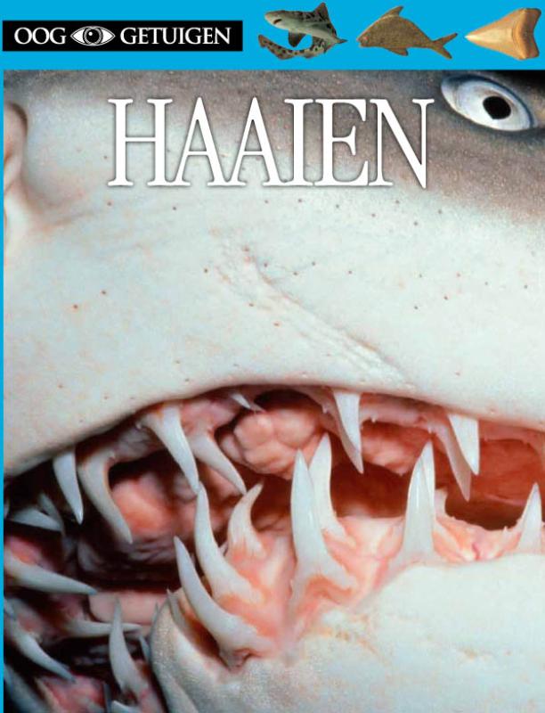 Haaien / Ooggetuigen