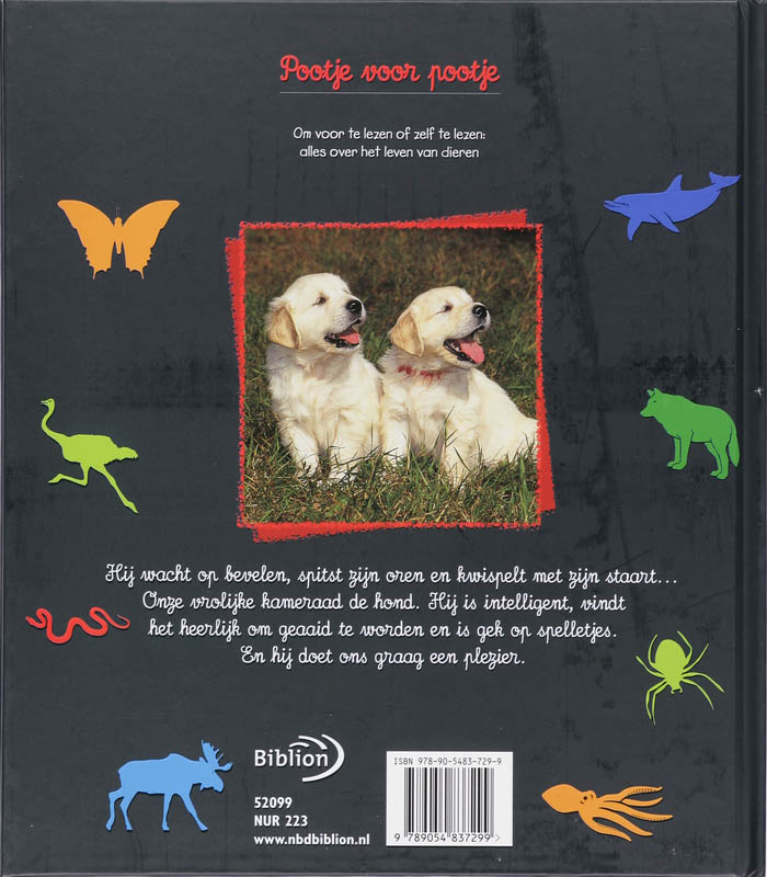 Honden / Pootje voor pootje achterkant
