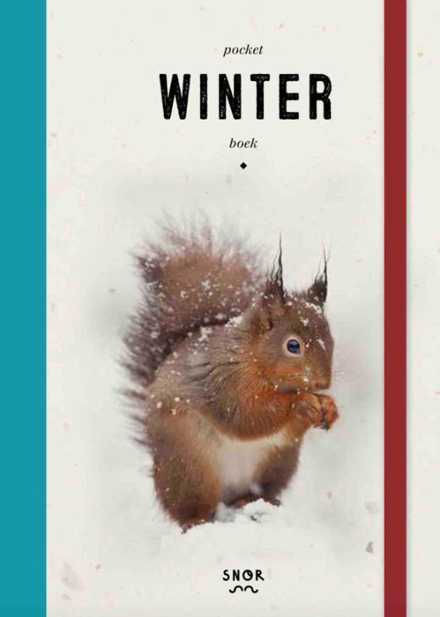 boekenbalie_9789463141055_cover Pocket Winterboek