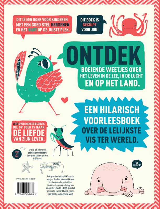Meneer Blobvis zkt een liefje achterkant