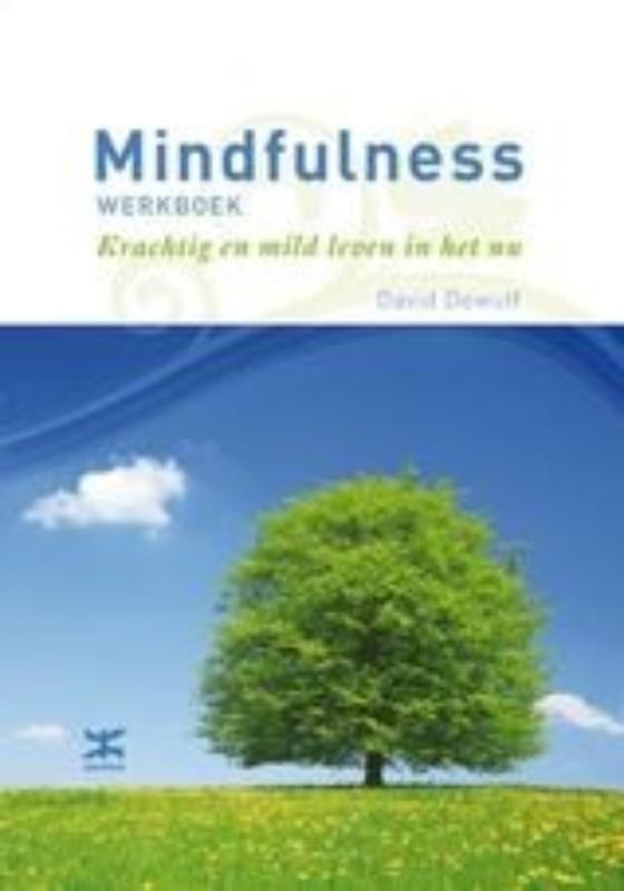 Mindfulness werkboek