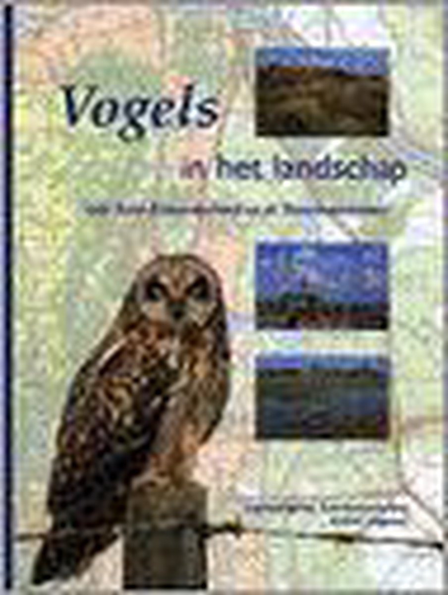 Vogels In Landschap V.Zuid-Kennemer thumbnail