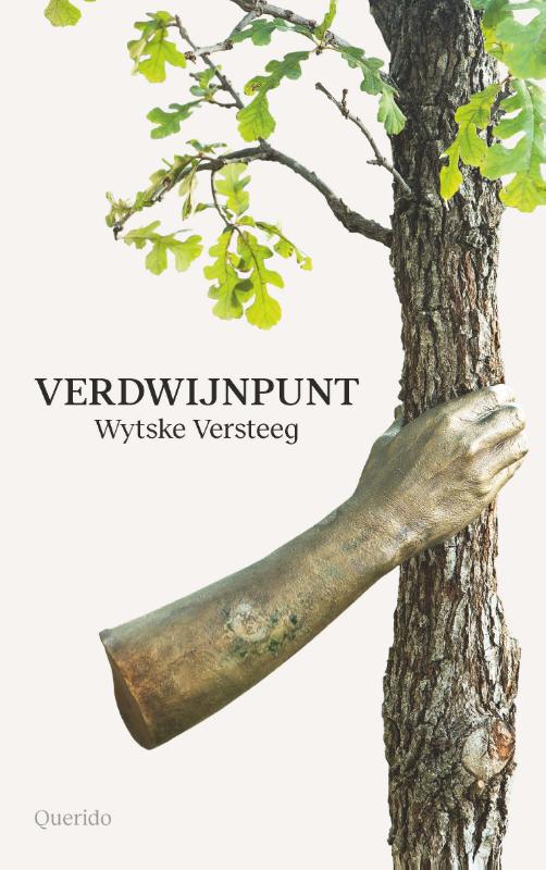 Verdwijnpunt