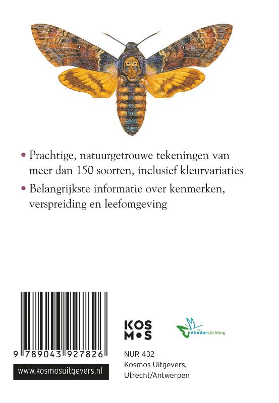 Compactgids Vlinders / Compactgidsen natuur achterkant