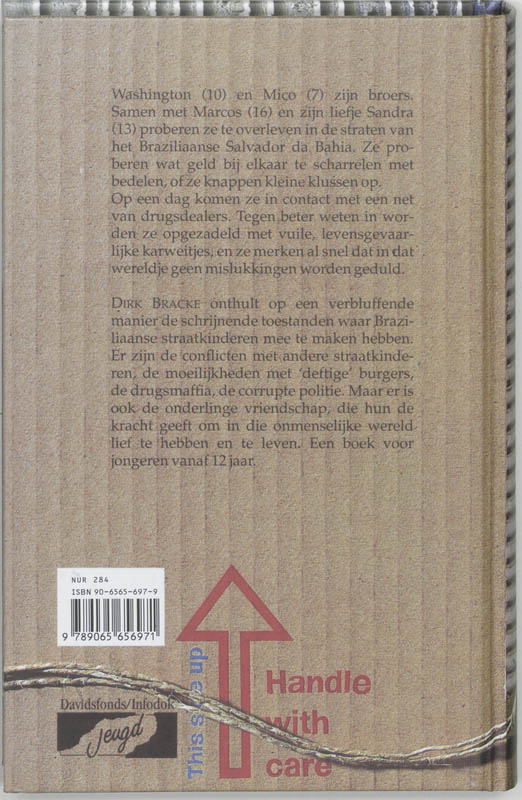 Een vlieg op de muur / Davidsfonds/Infodok-jeugd achterkant