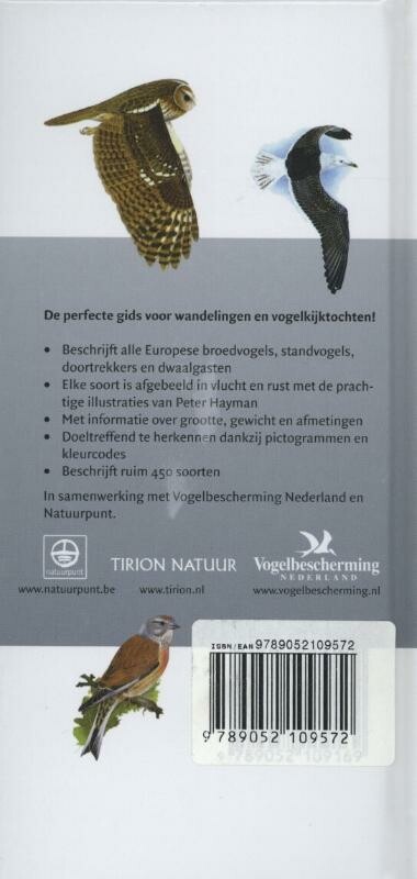 Hayman's zakgids kust- en wadvogels van Europa / Hayman's Zakgids achterkant