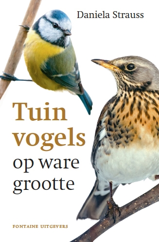 Daniela Strauss Tuinvogels Op Ware Grootte