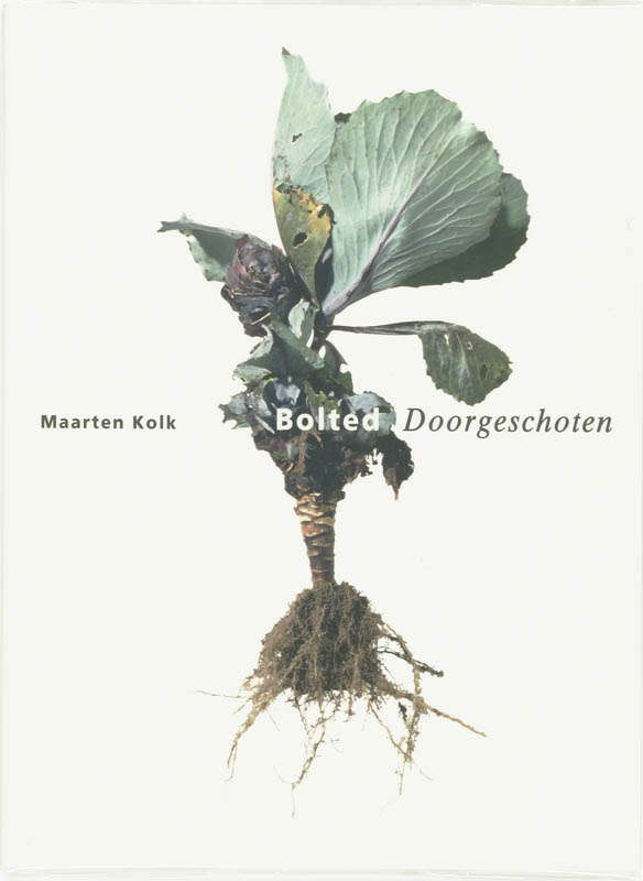Maarten Kolk