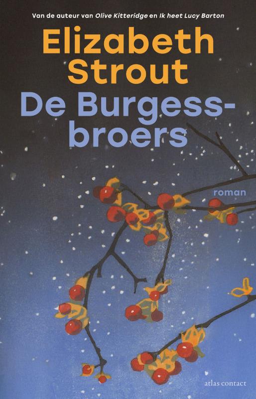 De Burgess-broers / Lucy Barton / 6