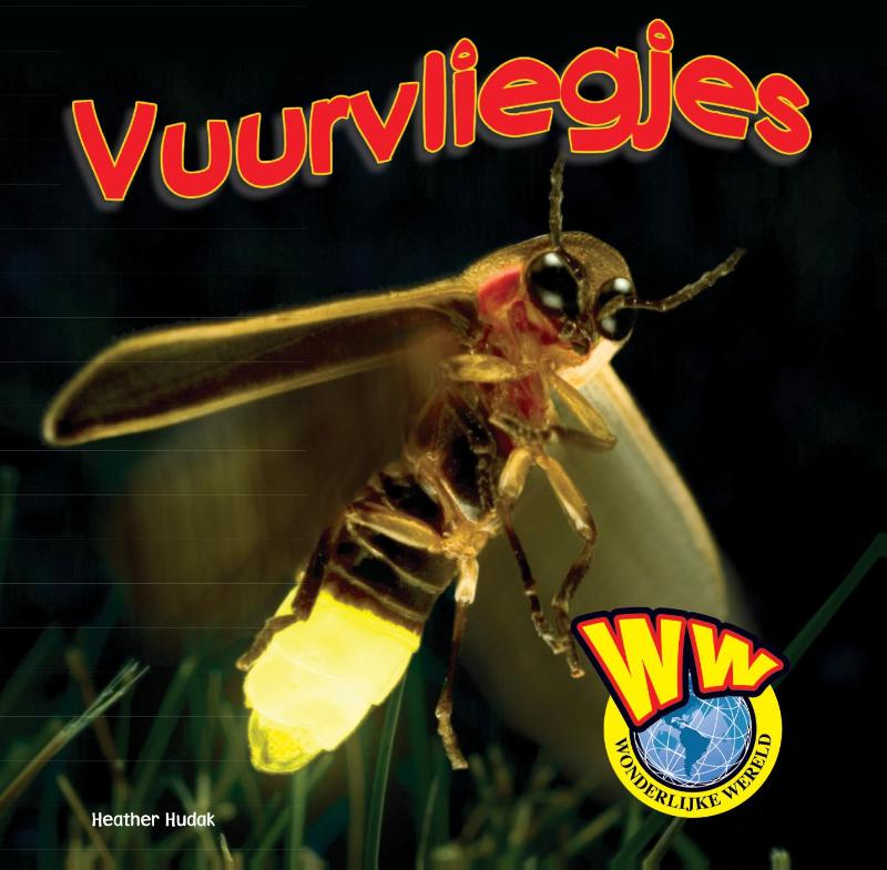 boekenbalie_9789055667888_cover Wonderlijke wereld  -   Vuurvliegjes