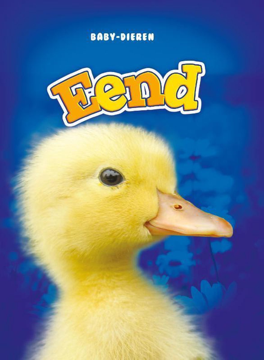 Baby-dieren  -   Eend