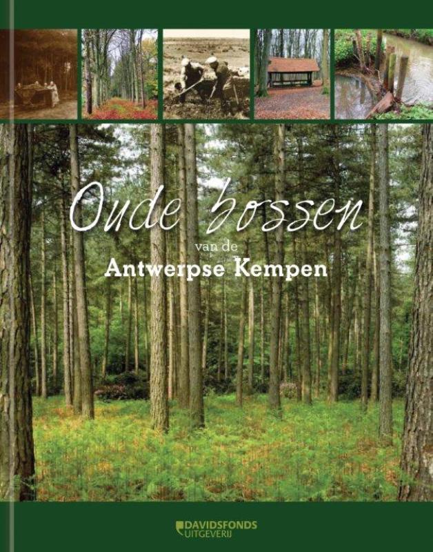 Oude bossen van de Antwerpse Kempen