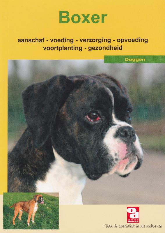 Boxer / Over Dieren / 64