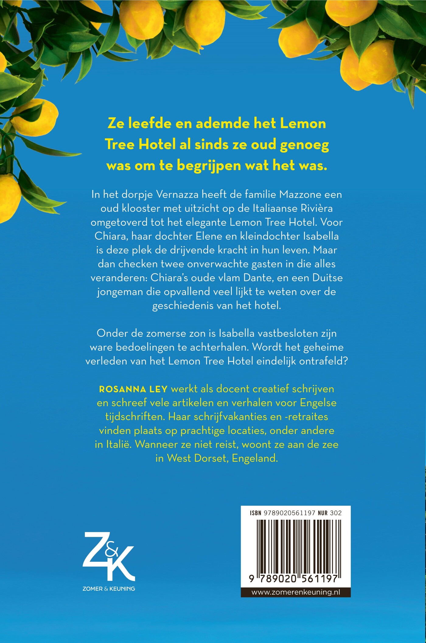 Het Lemon Tree Hotel achterkant