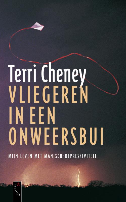 boekenbalie_9789063053673_cover Vliegeren in een onweersbui