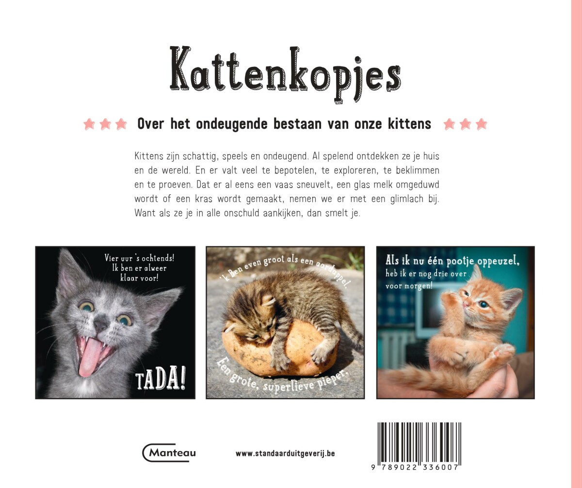 Kattenkopjes achterkant