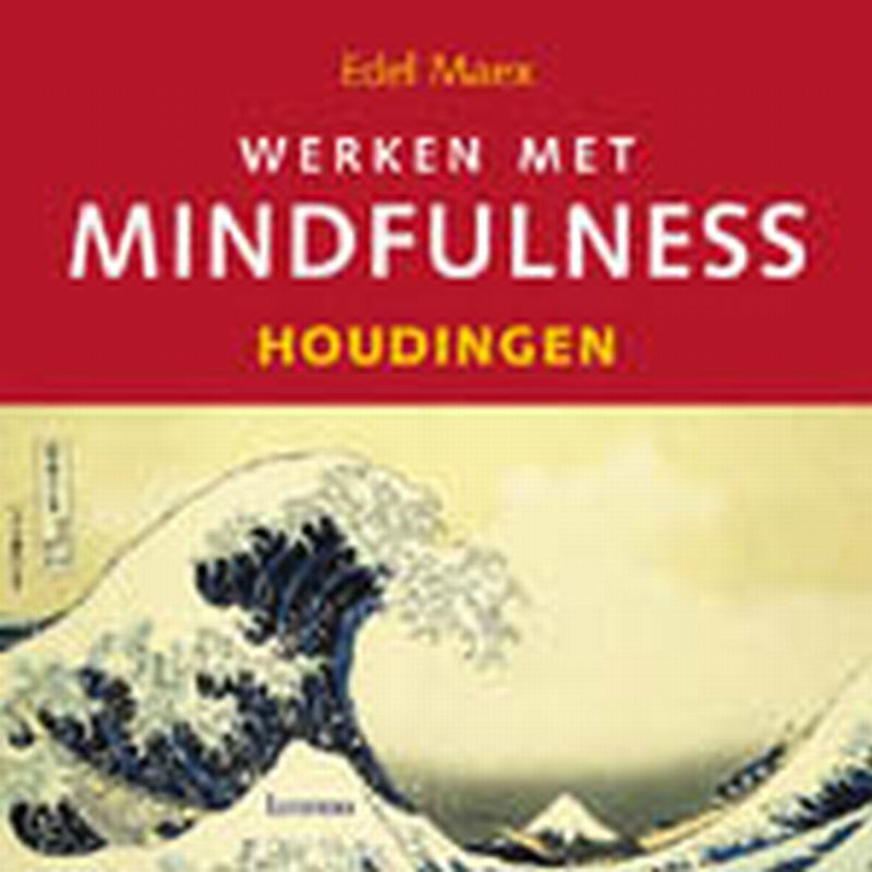 Edel Maex Werken Met Mindfulness thumbnail