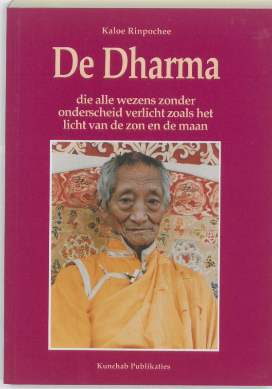 boekenbalie_9789074815048_cover Het gelaat van het boeddhisme 4: De Dharma die alle wezens zonder onderscheid verlicht zoals het licht van de zon en de maan / Het gelaat van het boeddhisme / 4