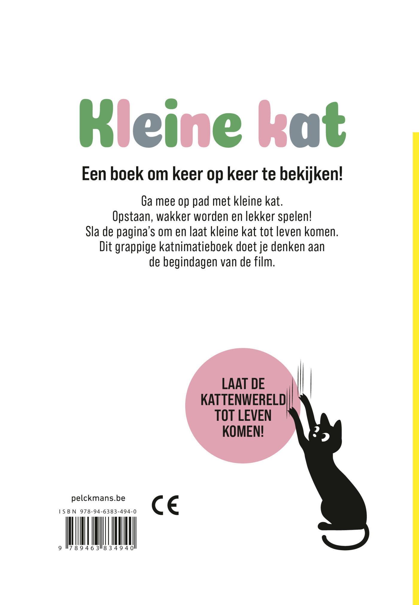 Kleine kat achterkant