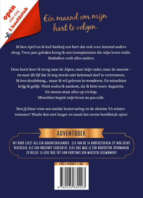 Adventboek - A Heart for Christmas / Epic Books achterkant