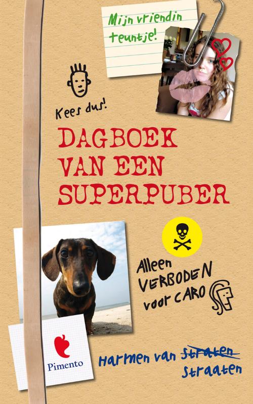 Harmen van Straaten Het Geniale Dagboek Van Een Superpuber