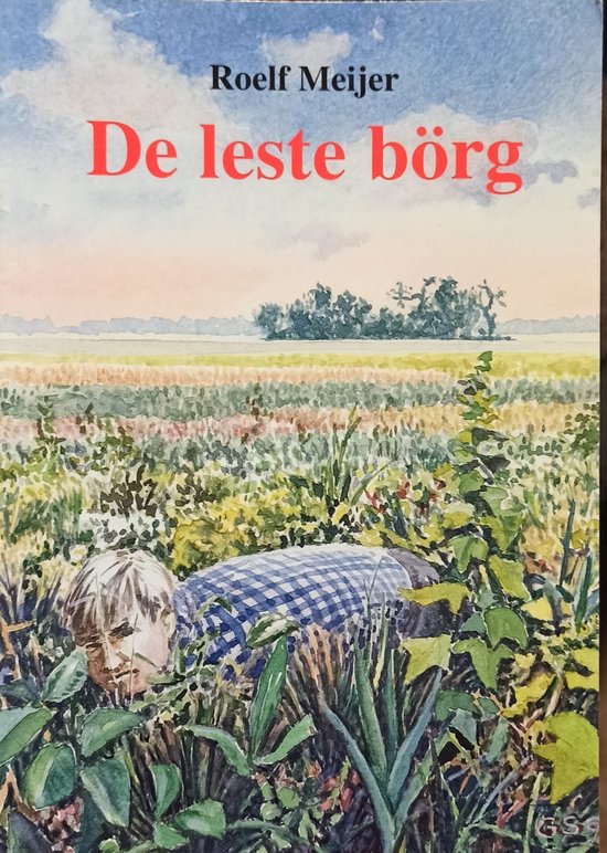 De leste börg : verhoalen
