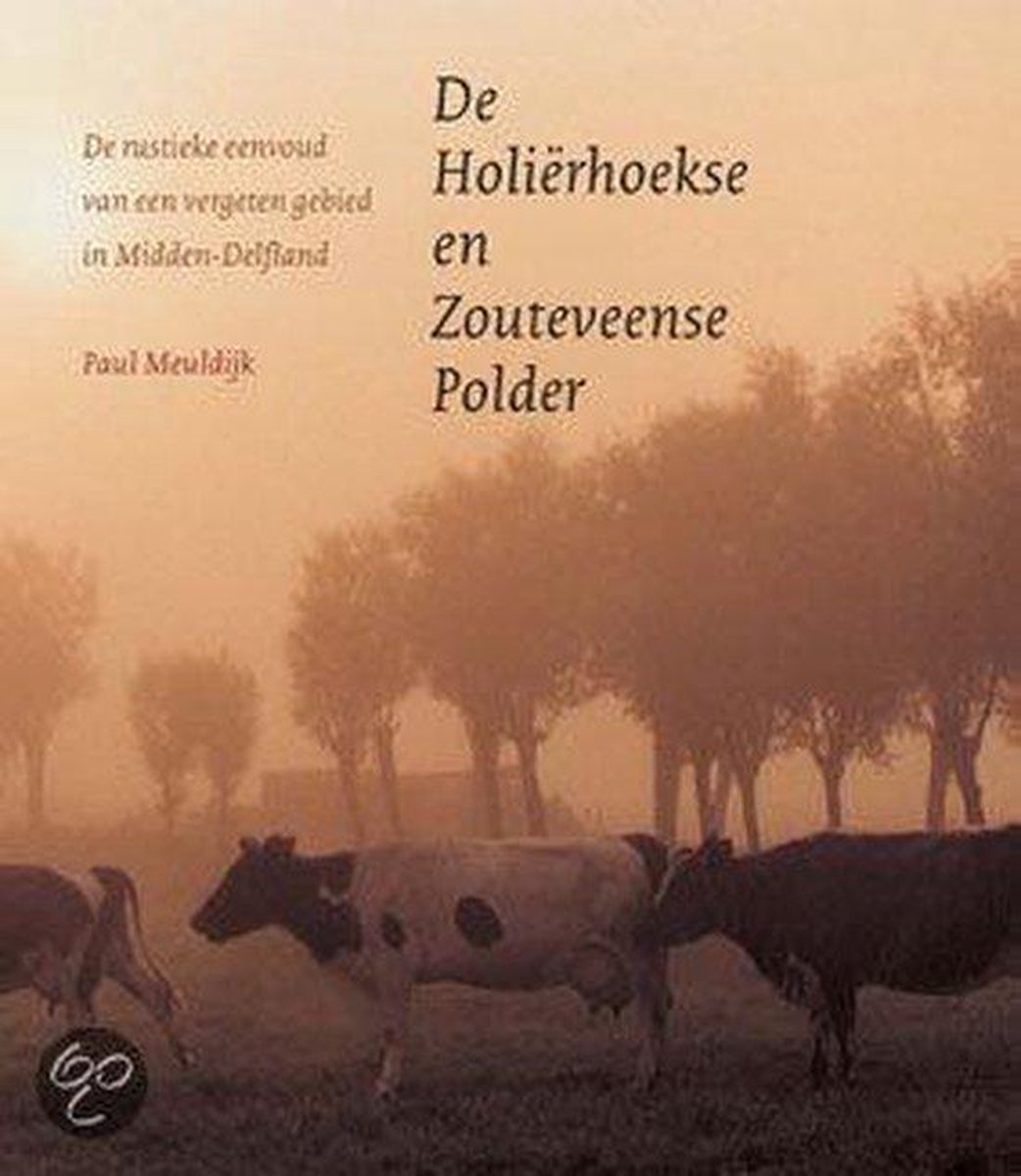 De Hoelierhoekse- en Zouteveense polder